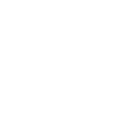 Phone Icon